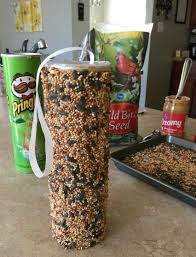 Pringles Dosen Basteln 101 Diy Ideen Zum Selbermachen Bastelideen Diy Zenideen Pringles Dose Vogelfutter Selber Machen Vogelfutter