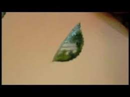 We did not find results for: Helen S Botanical Painting Tips 1 Youtube
