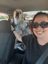 Does anyone know what stuffy l can get for my dog 🐕 he chews everything TIA