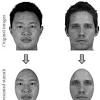 Mongoloid influences in eastern europe and in turkestan the invasions of mongoloid peoples from central asia during the millennium from about 400 to 1400 a.d. Https Encrypted Tbn0 Gstatic Com Images Q Tbn And9gcstgunycwrgsuadooutm15tyywouoj9mmpqboowk1wo2xh8tc3w Usqp Cau