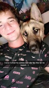 German Shepherd Community