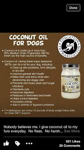 Coconut Oil For Pups Better To Start With A Lower Doseage For A Few Weeks Then You May Up The Dose Dog Remedies Oils For Dogs Dogs