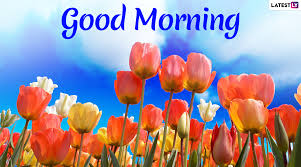 Download hd good morning photos for free on celebrate with unsplash's fine collection of good morning images, carefully cultivated and. Send Good Morning Hd Images Wishes To Family Friends As No Phishing Codes Are Embedded In These Messages And Greetings Latestly