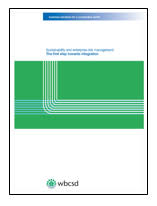 It's one of the most important things you do. Wbcsd Sustainability And Enterprise Risk Management The First Step Towards Integration Integrated Reporting