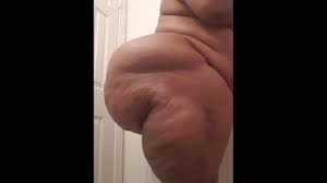 The Juice Donk Shaken