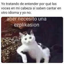 Mucho Mas Cierto En 2020 Memes Divertidos Memes Comicos Memes Perrones