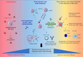 Image result for Warneckea sansibarica