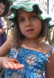 The Nature Exploration Club for Families