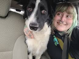 Loss of a beloved poodle, Grizzly Bear, and coping with grief