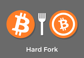Zcash inflation almost precisely mimics that of bitcoin. Developer Introduces Friendly Zcash Fork Cwj Crypto World Journal Blockchain Nation Building Better Blockchain Community