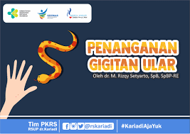 Komkordik (komite koordinasi pendidikan) adalah suatu unit fungsional yang bertugas melaksanakan koordinasi seluruh proses pendidikan di rumah sakit pendidikan yang dibentuk oleh direktur/kepala rumah sakit pendidikan utama bersama pimpinan institusi pendidikan dan bertanggung jawab kepada direktur/kepala rumah sakit pendidikan. Penanganan Gigitan Ular