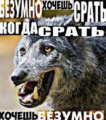 Безумно можно быть первым HOMIE: значение