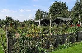 Pin Von Anna Auf Gartentraume Garten Bad Zwischenahn Reisen