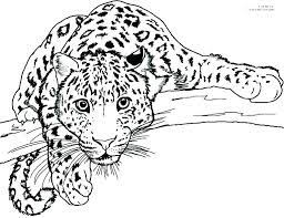 More 100 coloring pages from animal coloring pages category. Pin On Malarbilder