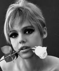 Edie sedgwick was a bright social butterfly whose candle of fame burned brightly at both ends. Edie Sedgwick With Rose Photographed By Ronald Bacsa Edie Sedgwick Edie Sedgwick
