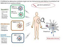 Al ser la vacuna de janssen de una sola dosis, mejora la eficiencia de los eficacia de janssen frente al coronavirus. Por Que Nos Ha Sorprendido La Vacuna Rusa Sputnik V