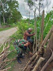 Kombinasi kayu dan kawat besi. Tni Bantu Buat Pagar Kebun Warga Pos Kupang