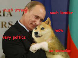 The caption is all about flavors of the chips. Doge Meme 26 Toft International