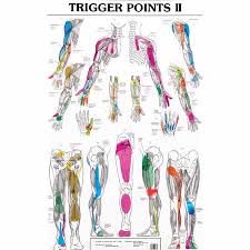 Smoulders Trigger Point Charts I And Ii Set Of Two Posters Body Best
