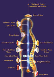 Image result for chakras