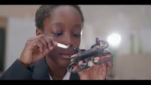 St Mary's Junior School, Cambridge is a welcoming, caring and dynamic  environment