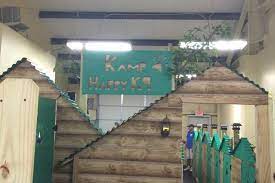 The myrtle beach boardwalk and promenade is home to the myrtle beach skywheel, plyer park, and dozens of shops, restaurants, and bars. Directory Of Doggie Daycare Boarding In Myrtle Beach Sc Bringfido
