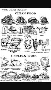 Please Obey Bible Food Bible Knowledge Bible Scriptures