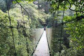 Tempat wisata yang menarik di puncak bogor. 33 Tempat Wisata Di Bogor Puncak Yang Paling Memikat
