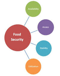 What does food security mean? Food Security Food Security Food Insecurity Food Definition