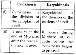 Ncert Solutions For Class 11 Biology Cell Cycle And Cell Division In 2020 Cell Cycle Cell Division Biology