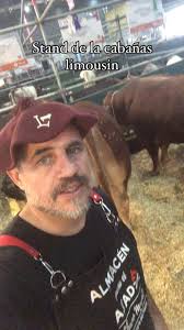 LIMOUSIN ARGENTINA OFICIAL 🇦🇷 (@limousin_argentina) • Instagram photos  and videos