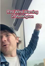 Wellington Wind Warning: Severe Weather Alert Today