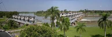 Hasil gambar untuk persawahan belitang