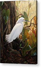Tim also creates oil painting on canvas, most of which are commissioned by homeowners or interior. Hard To Hide Acrylic Print By Tim Davis Hidden Art Painting Art