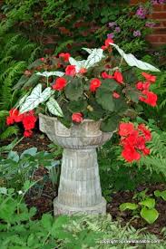Page Not Found Southwood Container Gardening Container Flowers Plants