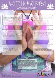 Lotus Mudra Learn Its Benefits Affirmation And Instructions Mudras Yoga Hands Chakra Yoga