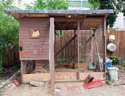 Check spelling or type a new query. Urban Backyard Chicken Coop Horizontal Stock Photo Picture And Royalty Free Image Image 152882500