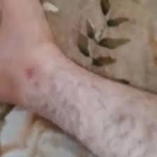 ساک داف حشری پر تف و مشتی