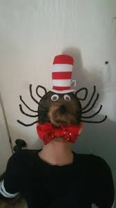 Crazy Hair Day Dr Suess Week Cat In The Hat Crazy Hair Crazy Hat Day Crazy Hair Days