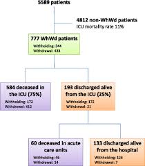 Flow Chart Whwd Withhold Or Withdraw Treatment Icu