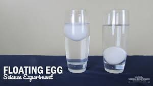 floating egg science experiment
