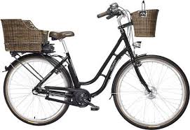 Fischer Fahrrad Er 1704 S1 E Bike Mit Trittantrieb Schwarz Li Ion 36 V 8 8 Ah Kaufen E Bike Elektrofahrrad Damen Fahrrad