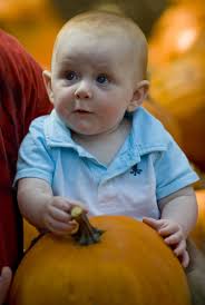 Fall event supports Environmental Nature Center