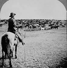 Cattle Drives In The United States Wikipedia