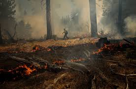Western wildfires rage across 12 states, u.s. California Wildfires The New York Times