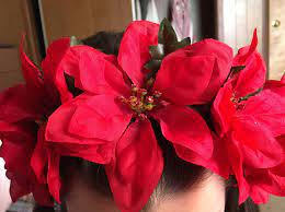 Diy Poinsettia Flower Crown Flowers And Headband All From The Dollar Store 2 Dollar Purchase Poinsettia Flower Flower Crown Poinsettia