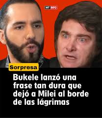 MT MTINFO INFO Sorpresa Bukele lanzó una frase tan dura que dejó α Milei  borde de las lágrimas