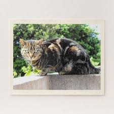 Primrose The Tabby Cat Jigsaw Puzzle Zazzle Com Cat Jigsaw Puzzle Tabby Cat Tabby