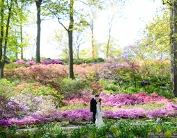 Maybe you would like to learn more about one of these? The New York Botanical Garden Reception Venues The Knot