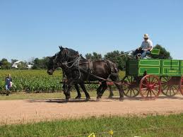 These 5 Must Visit Places In Kansas Amish Country Will Give You A New Appreciation Midwest Road Trip Amish Country Kansas Usa